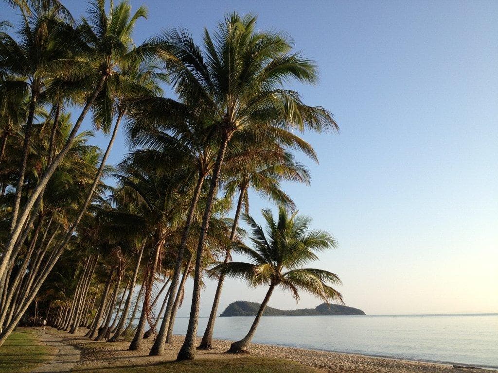 Tropical coastline with palms — Cairns, Port Douglas and Daintree region