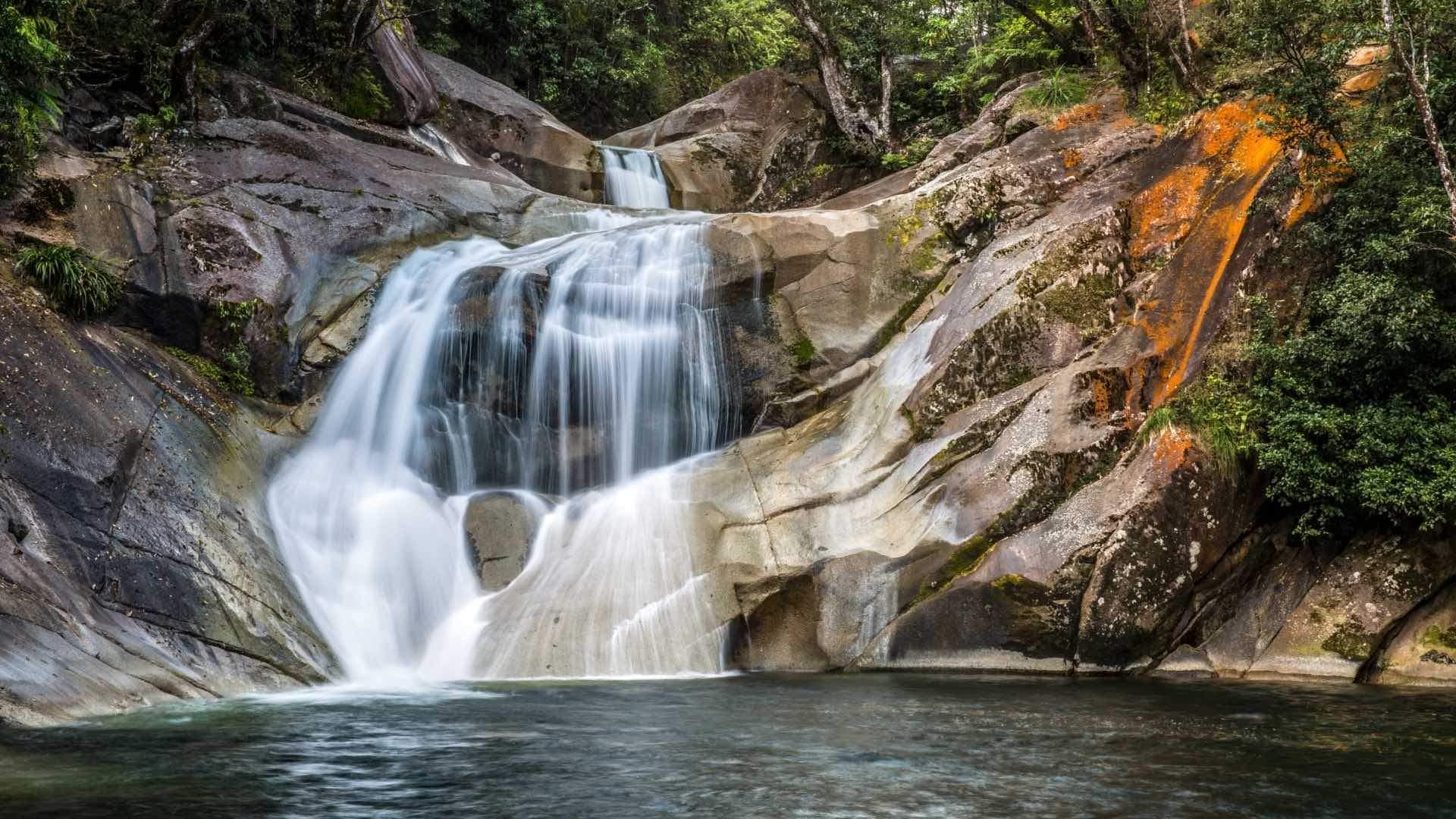 Atherton Tablelands Waterfall & Rainforest Escape — tour image