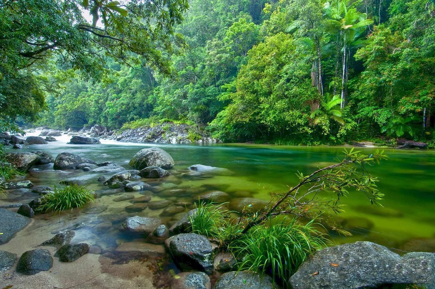 Daintree Enchantment (From Cairns) — tour image