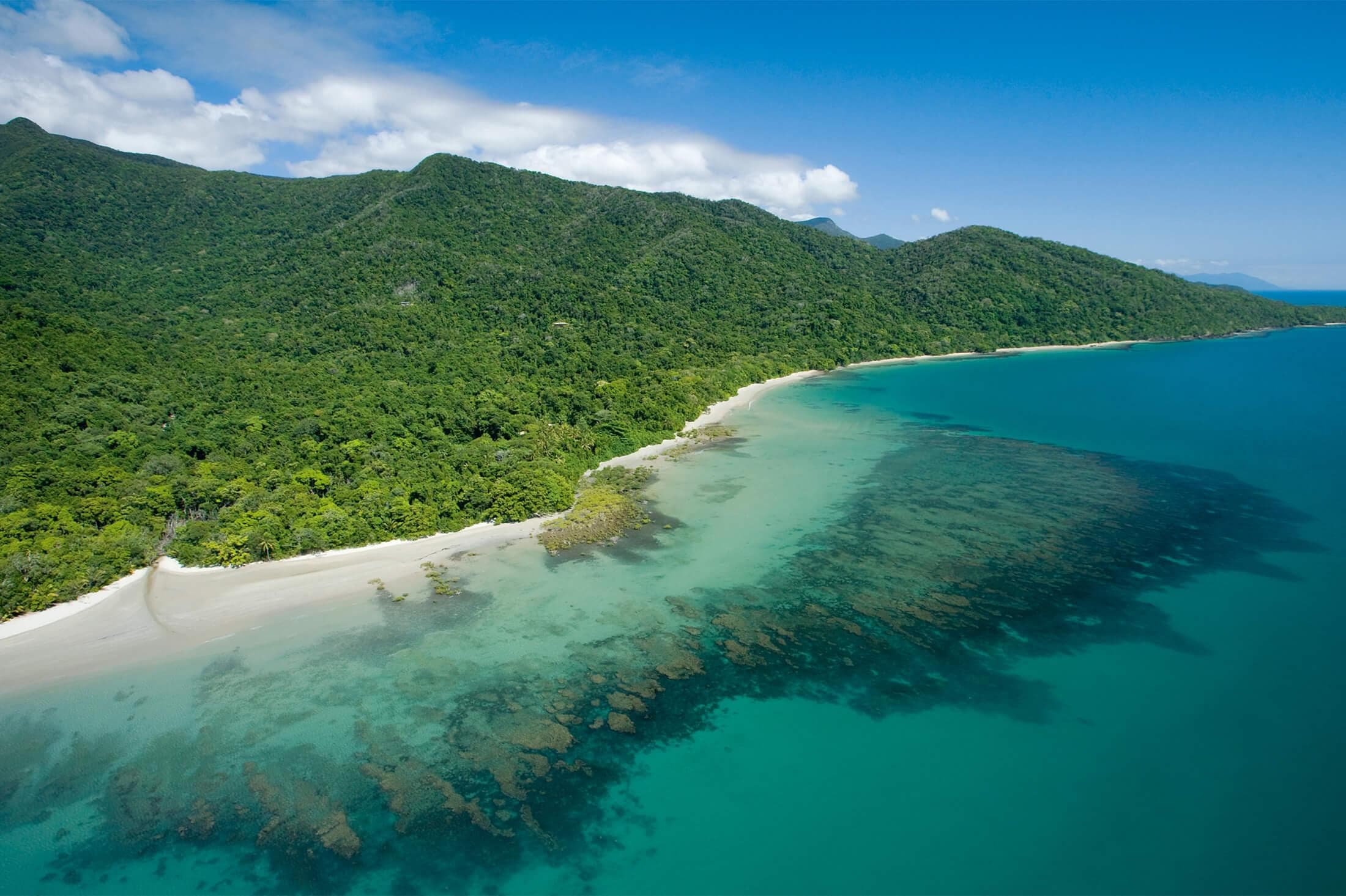 Daintree Enchantment (From Port Douglas) — tour image