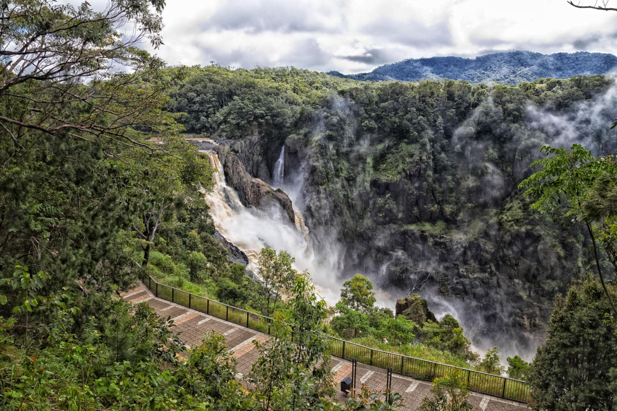 Kuranda Curated (From Port Douglas) — tour image